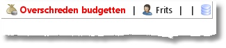 BudgetMelding